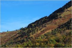 L’automne en Ariège