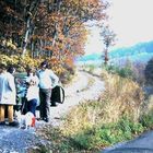 L'automne en Bourgogne