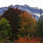 L'automne en Chartreuse.