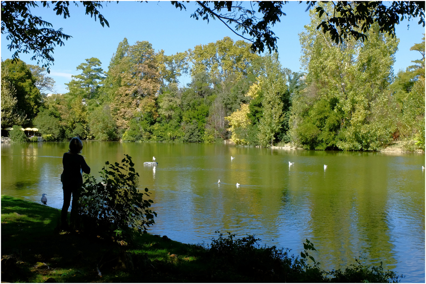 L'automne en douce