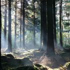 L'automne en finistère