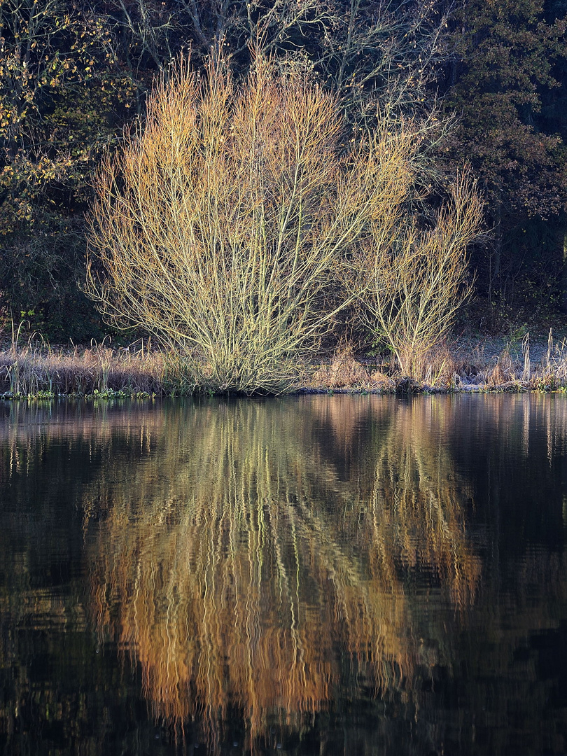 L'automne en ile de france