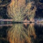 L'automne en ile de france