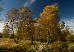 L'automne en Jura Souabe