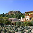 L'automne en Provence