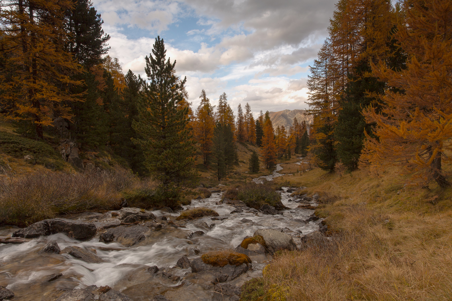 L'automne en Queyras