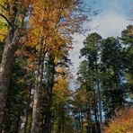 L'automne est bien là