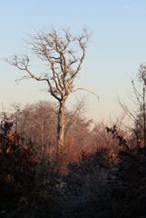 l'Automne et l'Avion passe