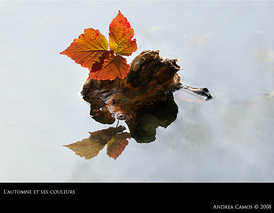 L'automne et ses couleurs