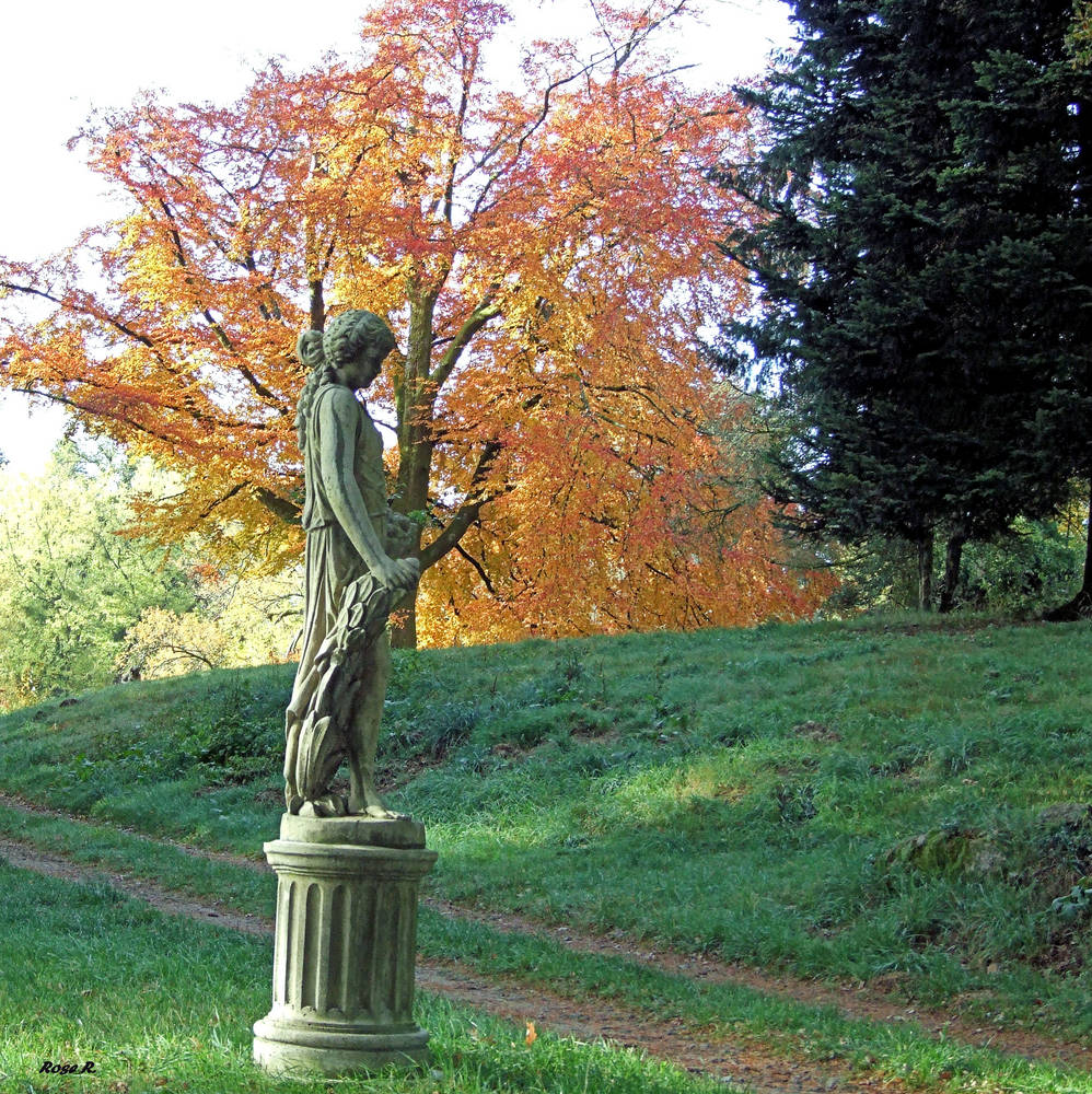 L'automne et ses couleurs chatoyantes