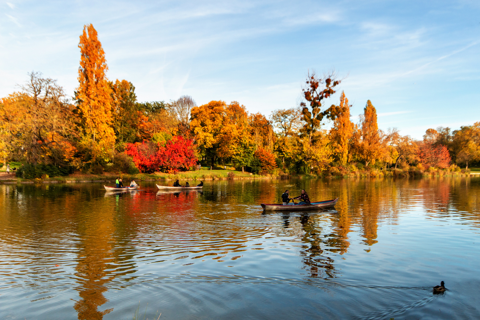 L'automne .