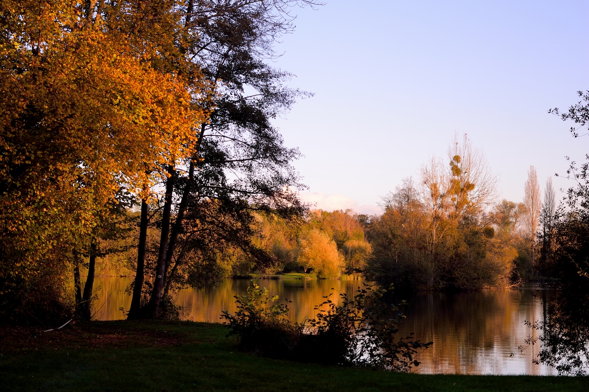 L'automne