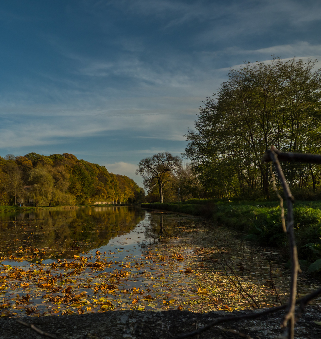 L'automne nous salue ! 