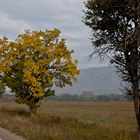 L'automne par la portière