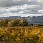 L'automne par la portière 