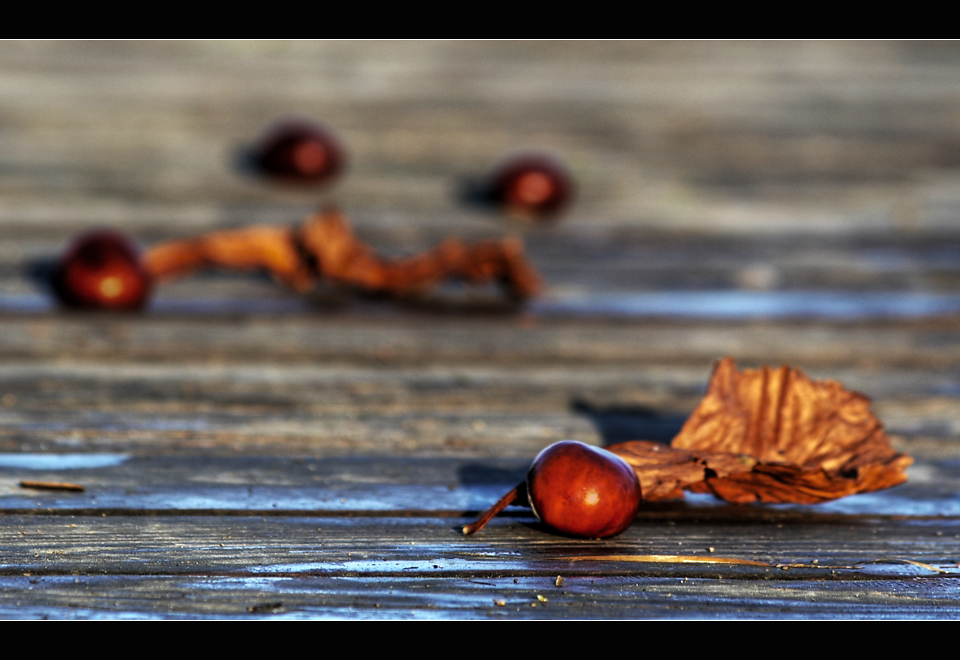 l'automne passé