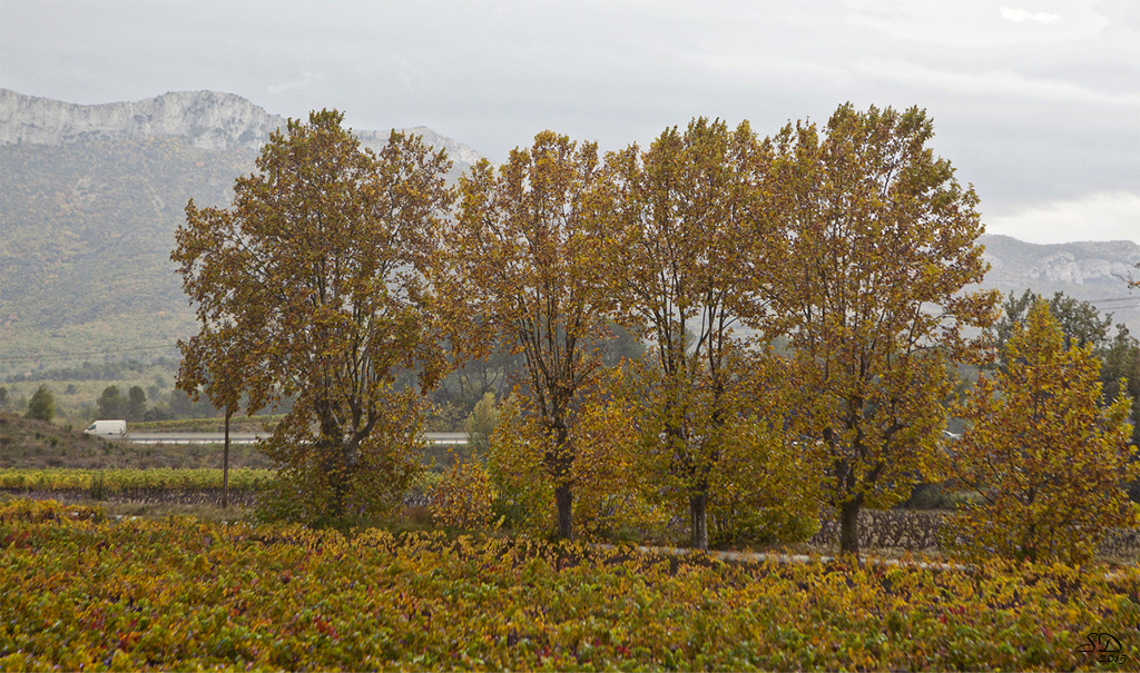 L'automne prés de l'autoroute