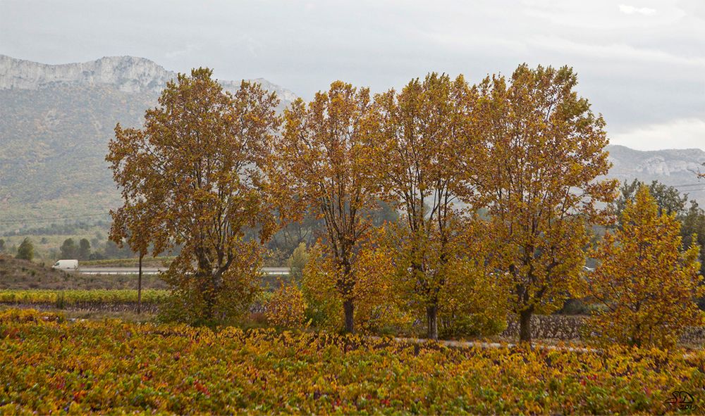 L'automne prés de l'autoroute