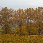 L'automne prés de l'autoroute