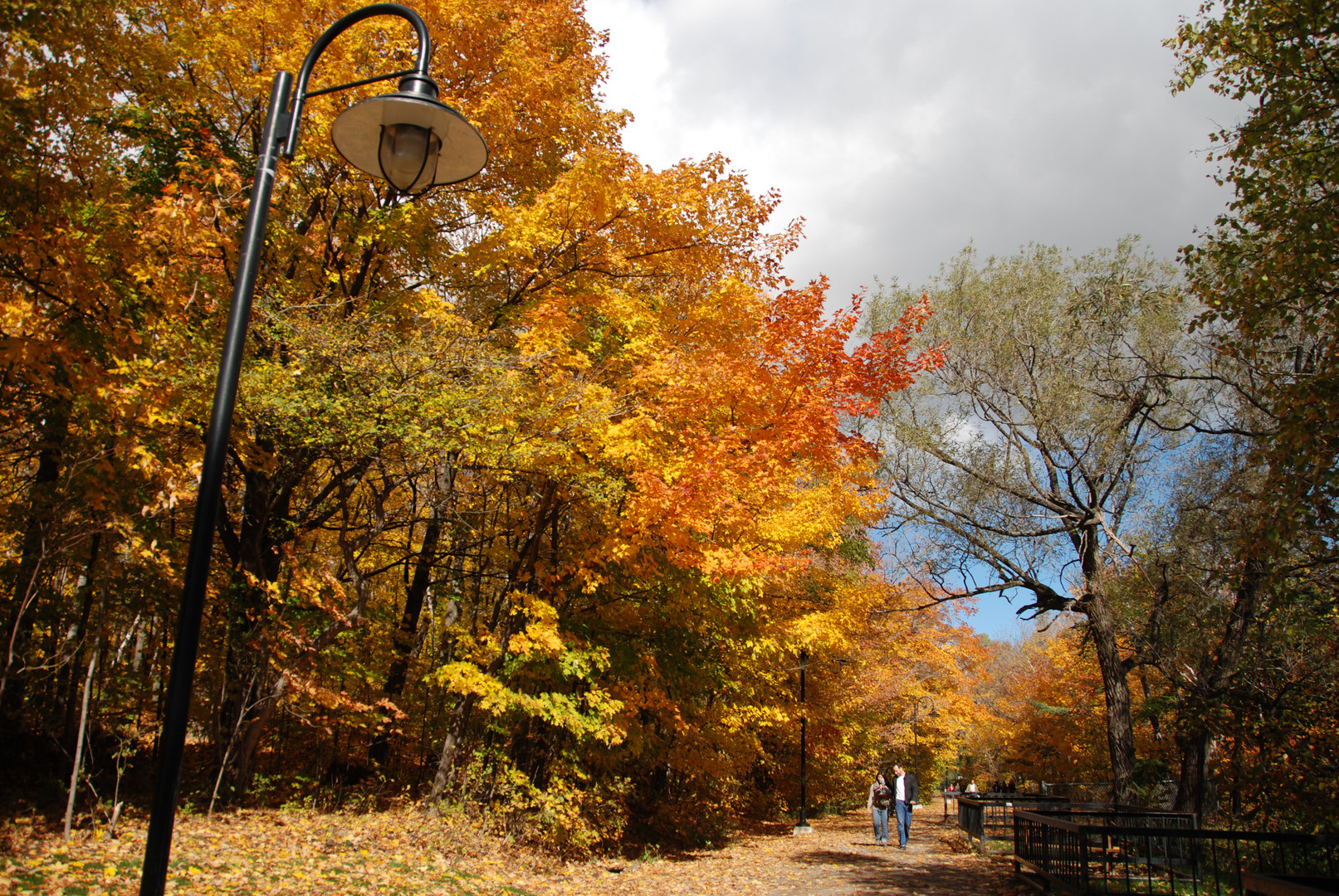 L'automne québecois