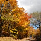 L'automne québecois