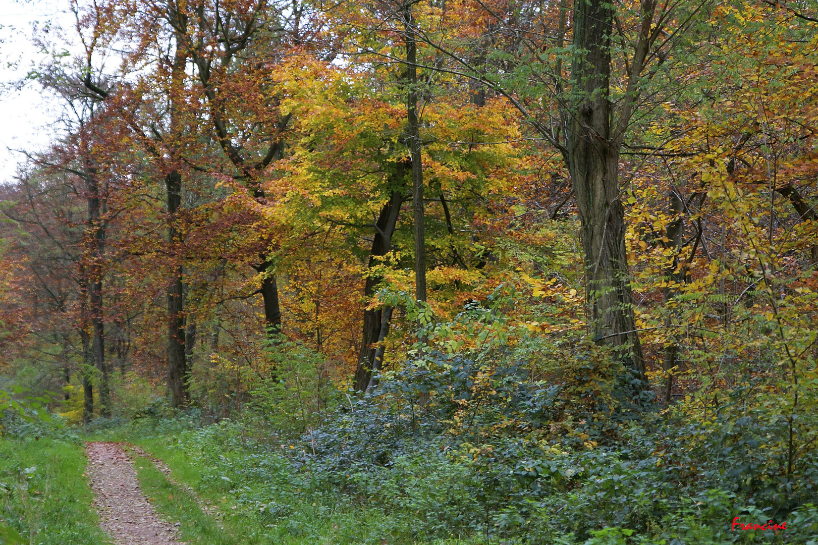 L'automne rayonne avec ses couleurs chatoyantes ...