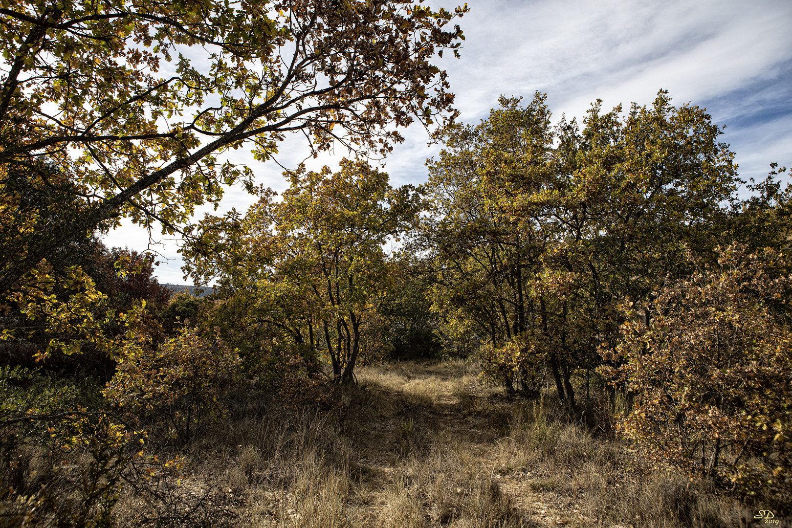 L'automne   s 'est installé dans le Haut-Var 