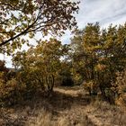 L'automne   s 'est installé dans le Haut-Var 