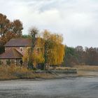 L'automne s'en va .....