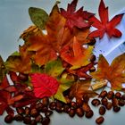 l'automne, ses couleurs et.......