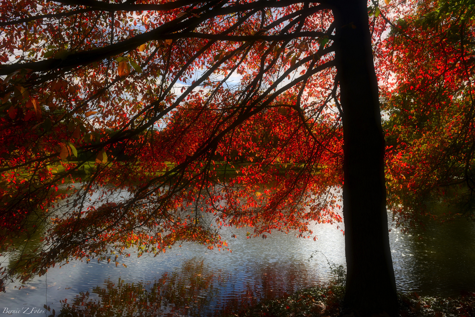 l'automne s'installe