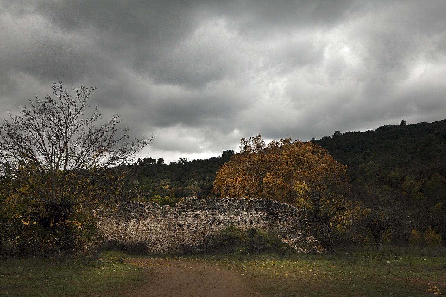 l'automne sur la vieille ferme en ruine.