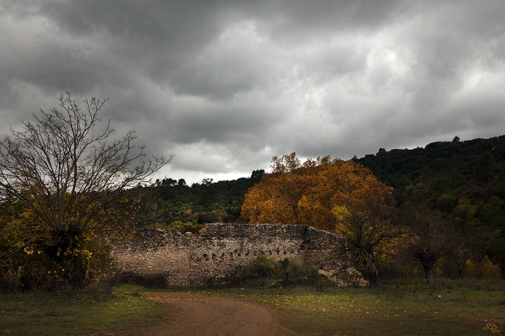 l'automne sur la vieille ferme en ruine.