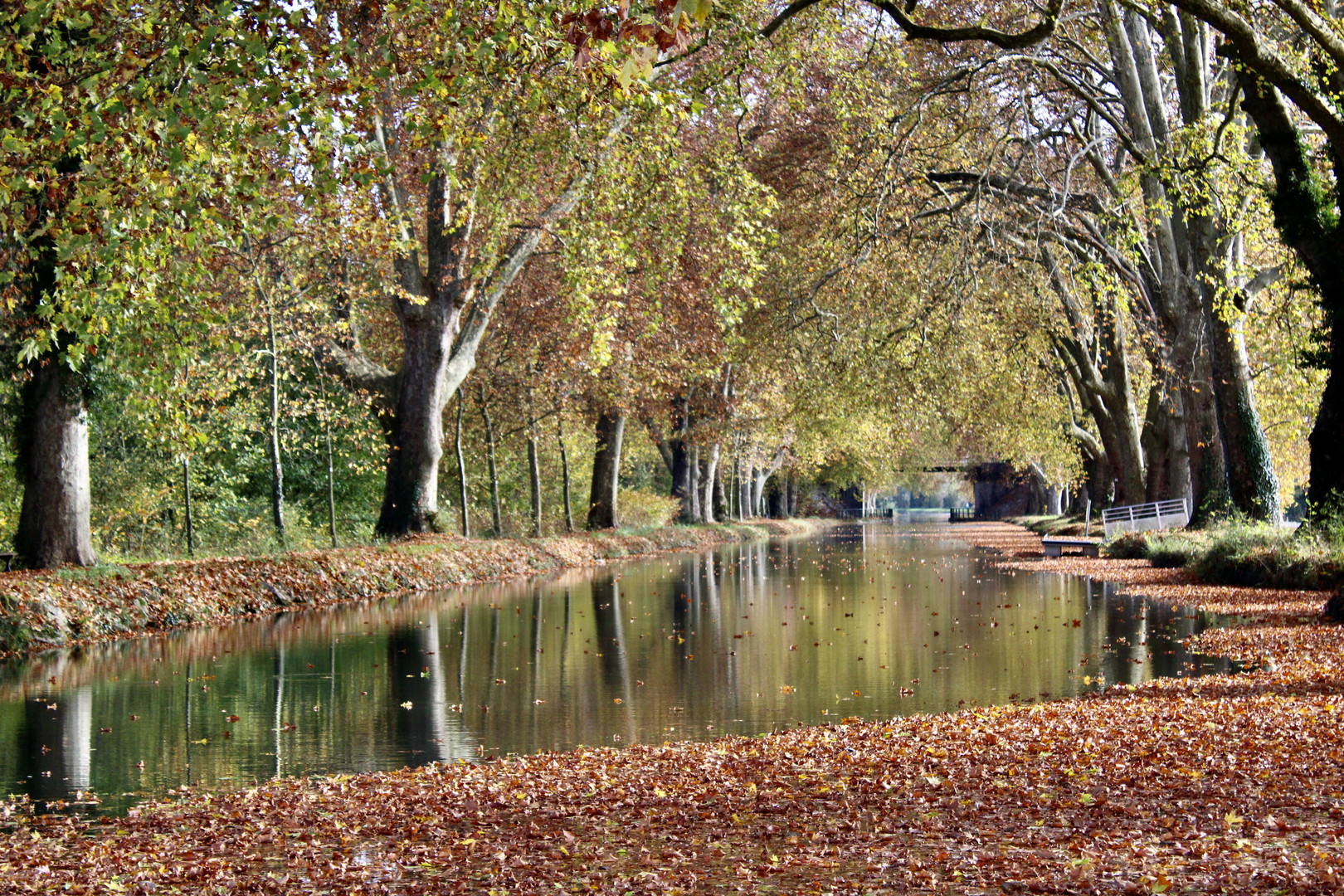 ... l'automne sur le canal !!!..