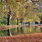 ... l'automne sur le canal !!!..