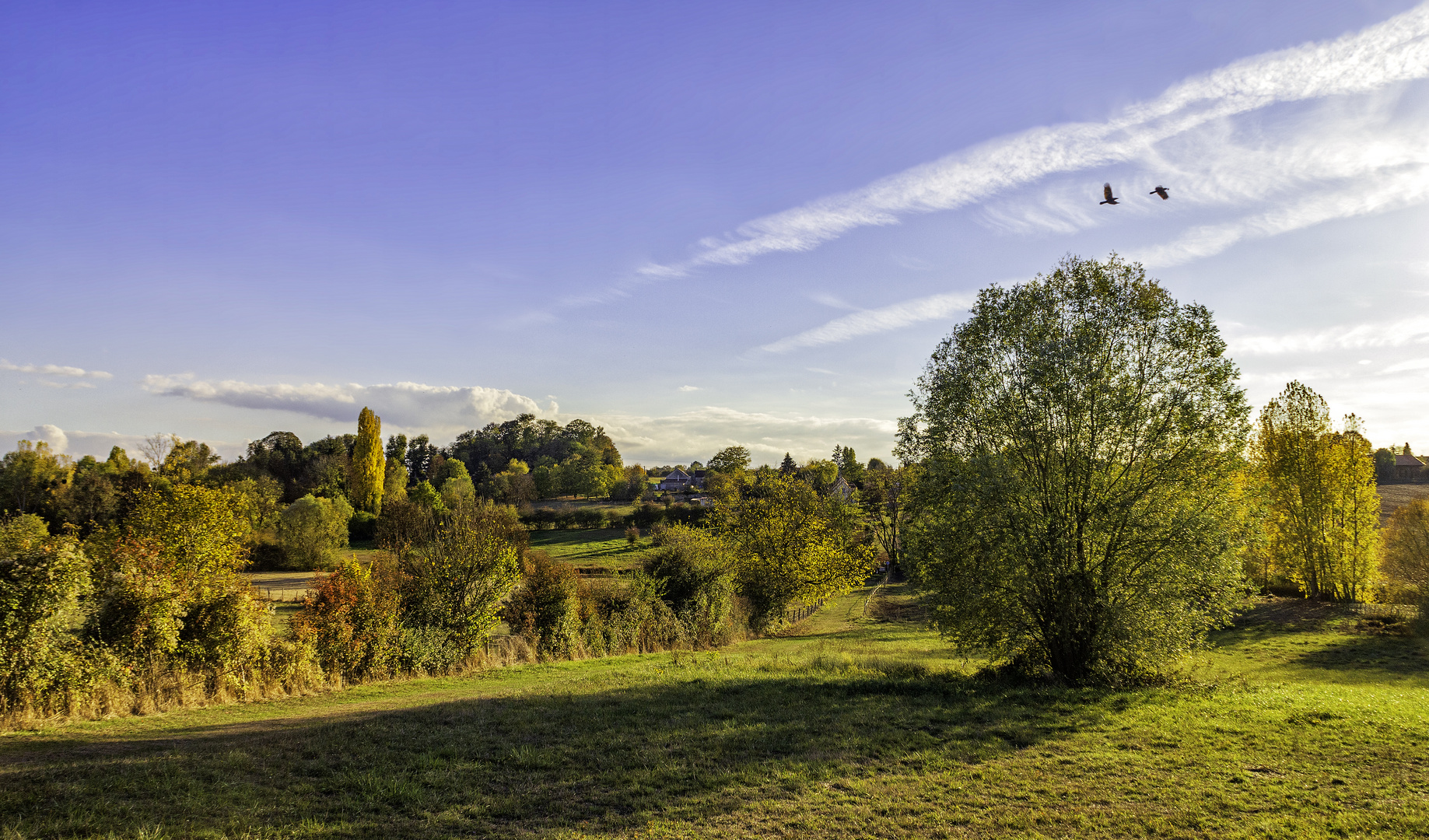 L'automne tout simplement 