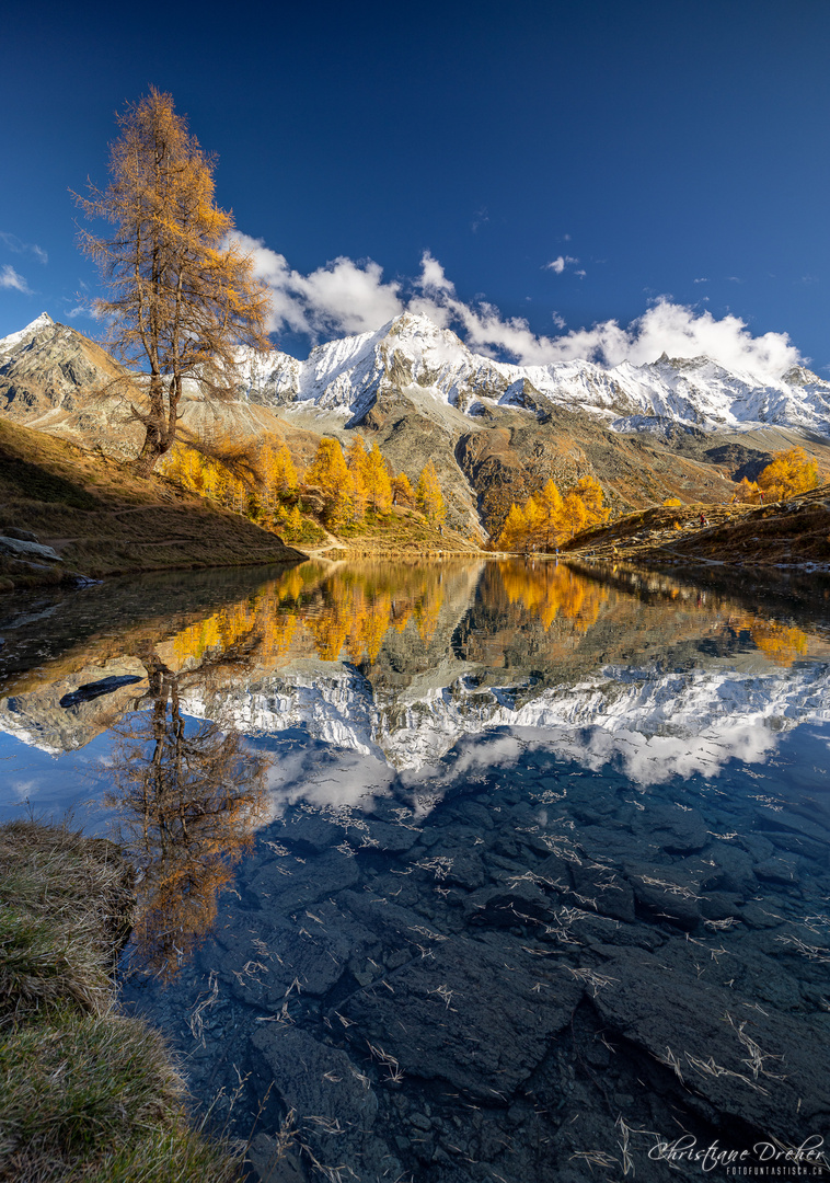 l'automne [...Val d'Hérens]