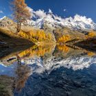 l'automne [...Val d'Hérens]