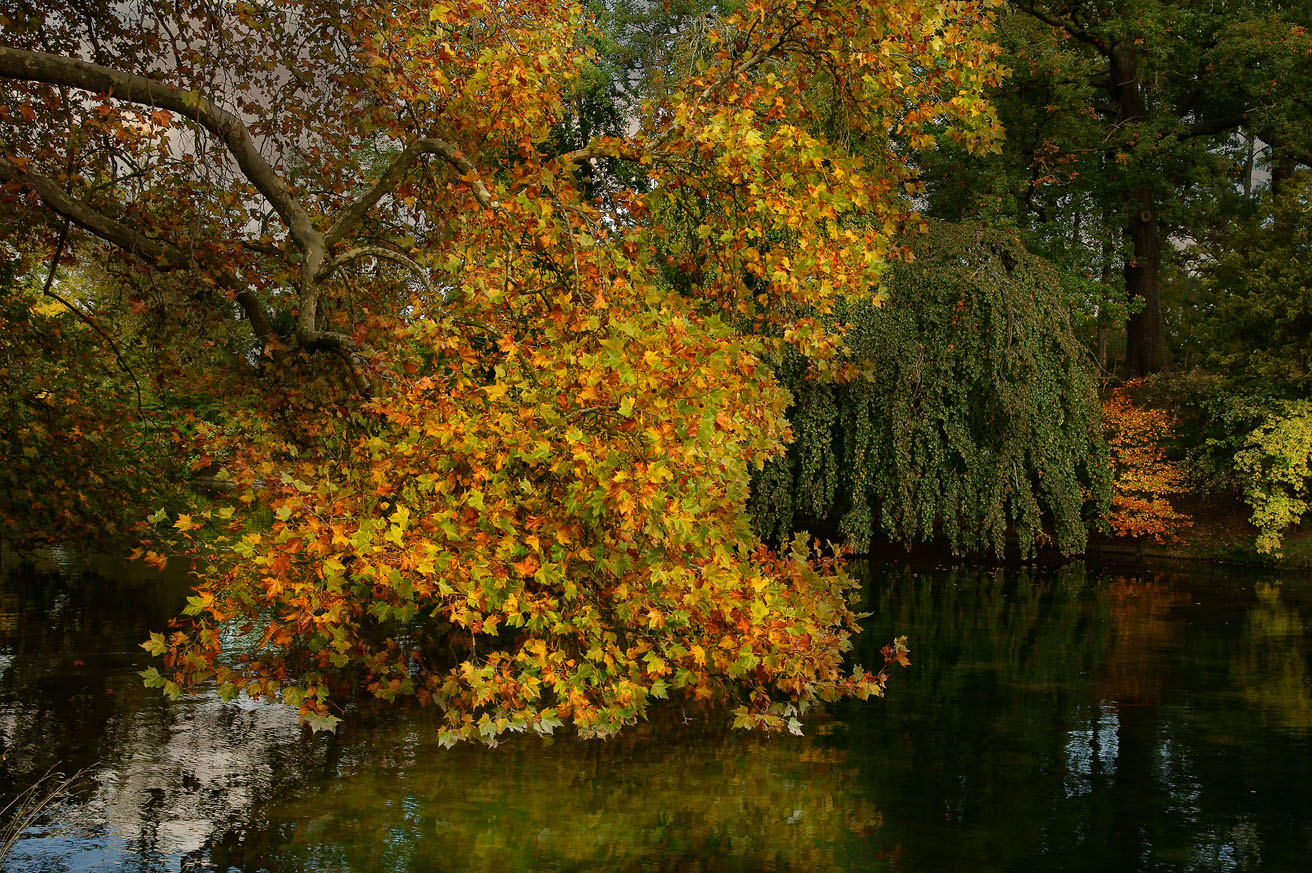 L'AUTOMNE......................2