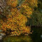 L'AUTOMNE......................2