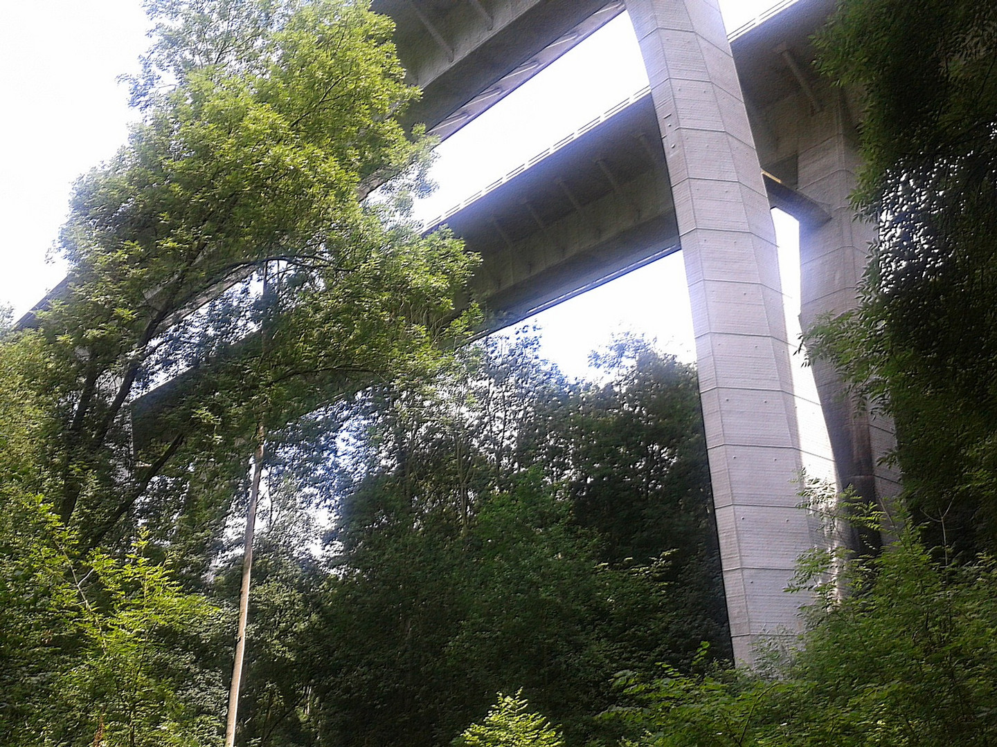 L'Autoroute A 19 vue de la forêt