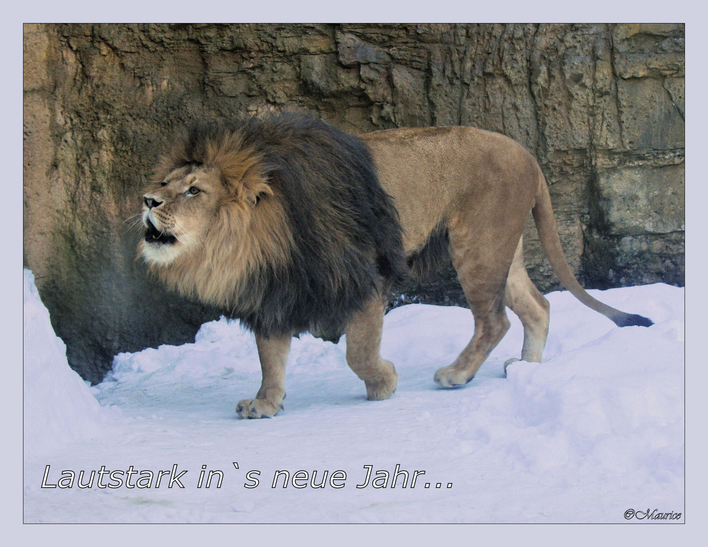 LAUTSTARK...