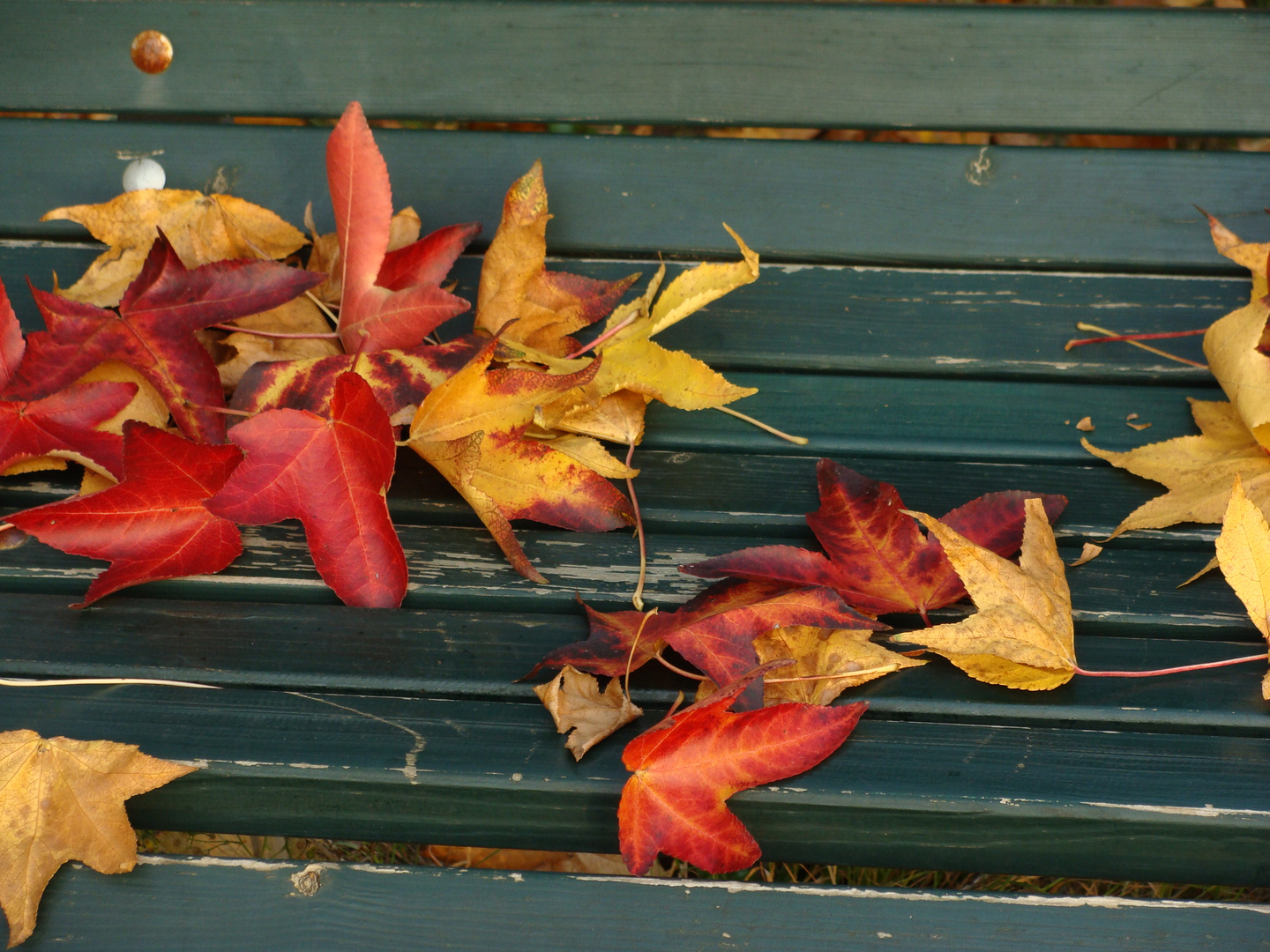 l'autunno