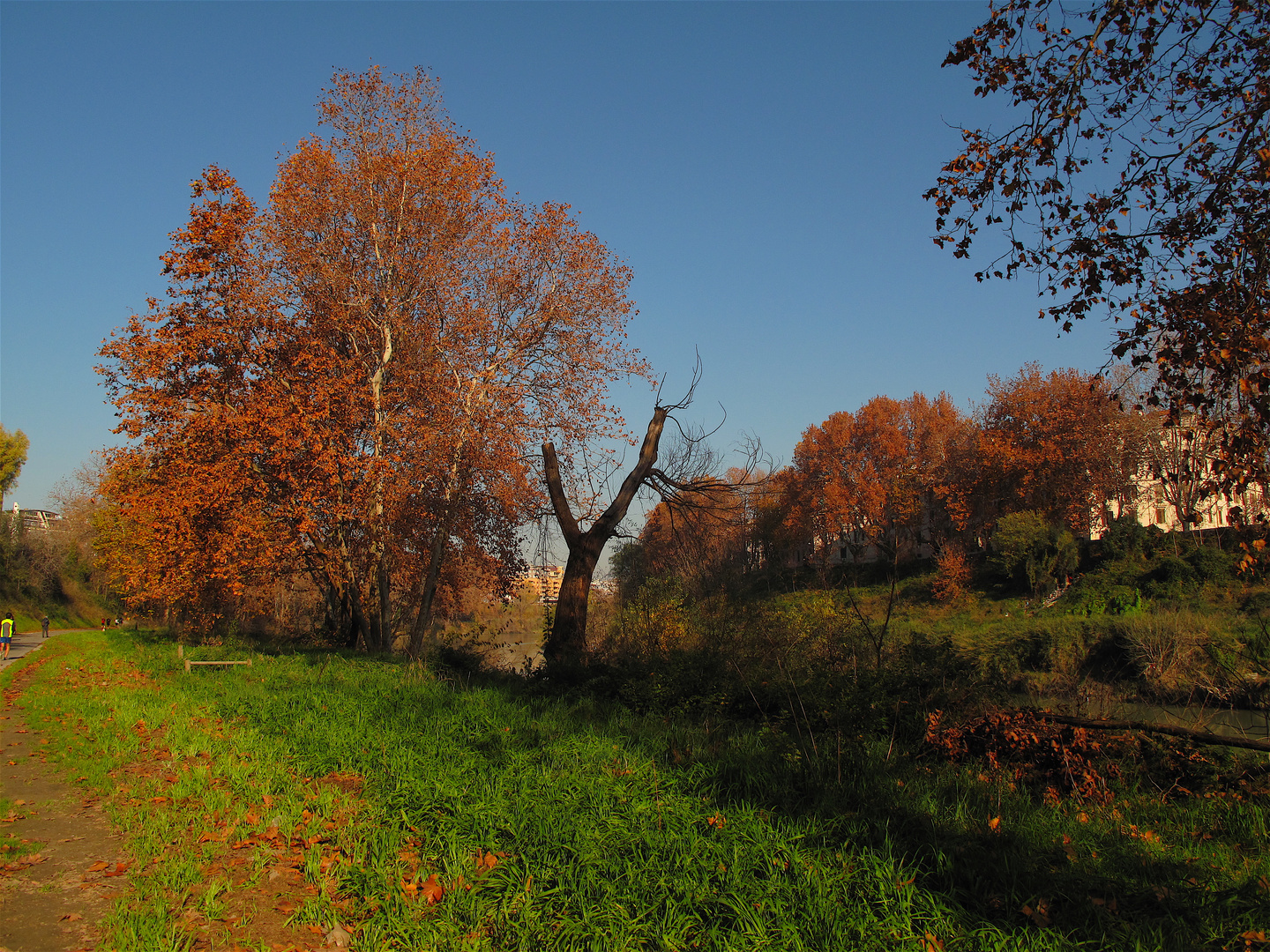 l'autunno