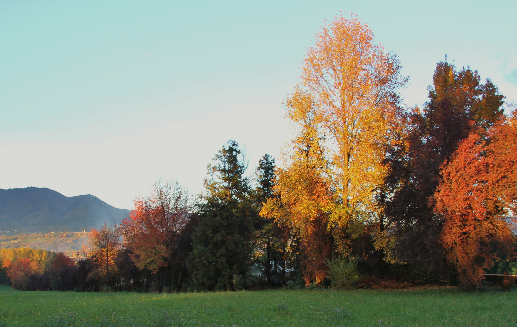 l'autunno a colori