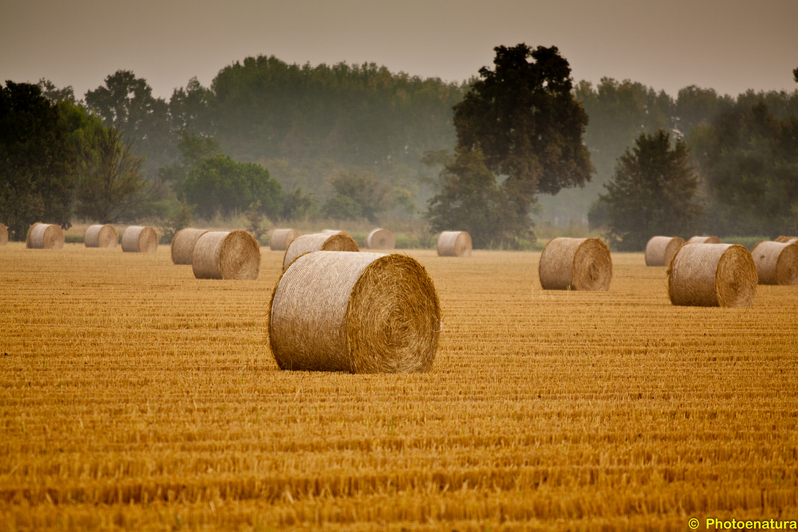 l'autunno che avanza