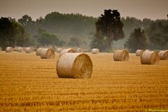 l'autunno che avanza