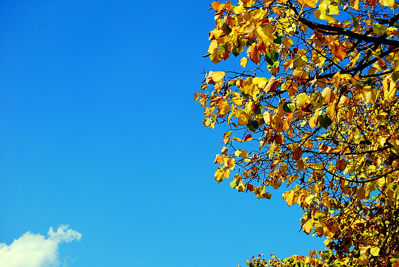 L'autunno che avanza