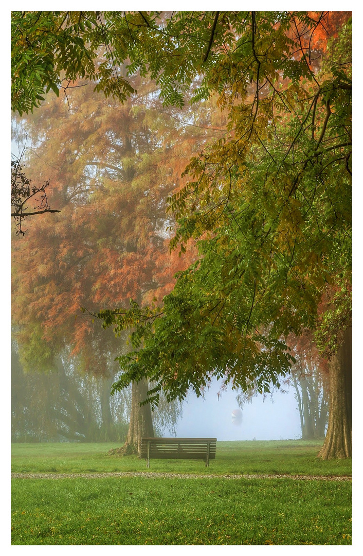 l'autunno che verra'