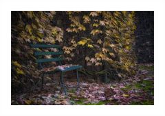 L'Autunno del mio giardino